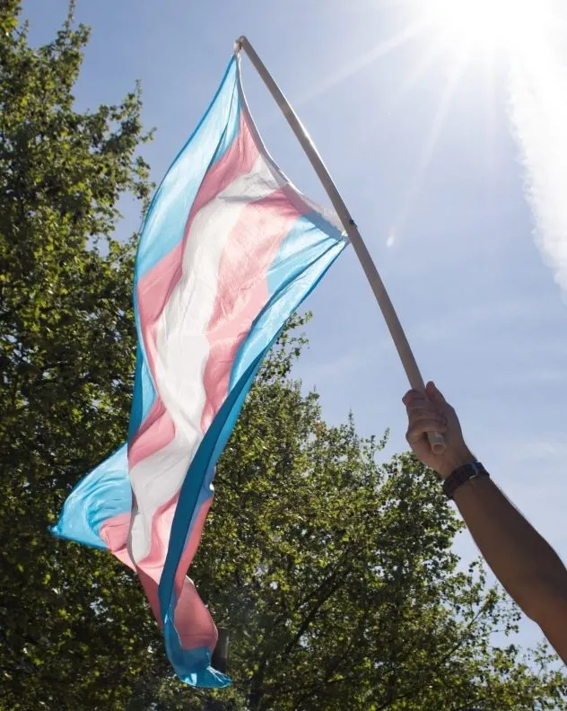 Person holding a trans pride flag against a sunny sky